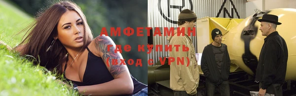 прущие грибы Аркадак