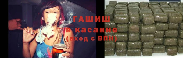 прущие грибы Аркадак