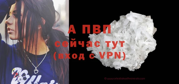 таблы Новодвинск