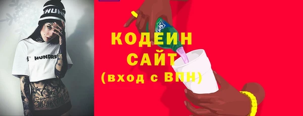гашик Арсеньев