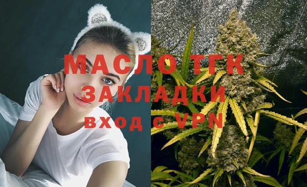 прущие грибы Аркадак