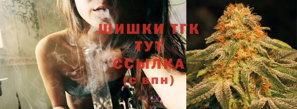 прущие грибы Аркадак